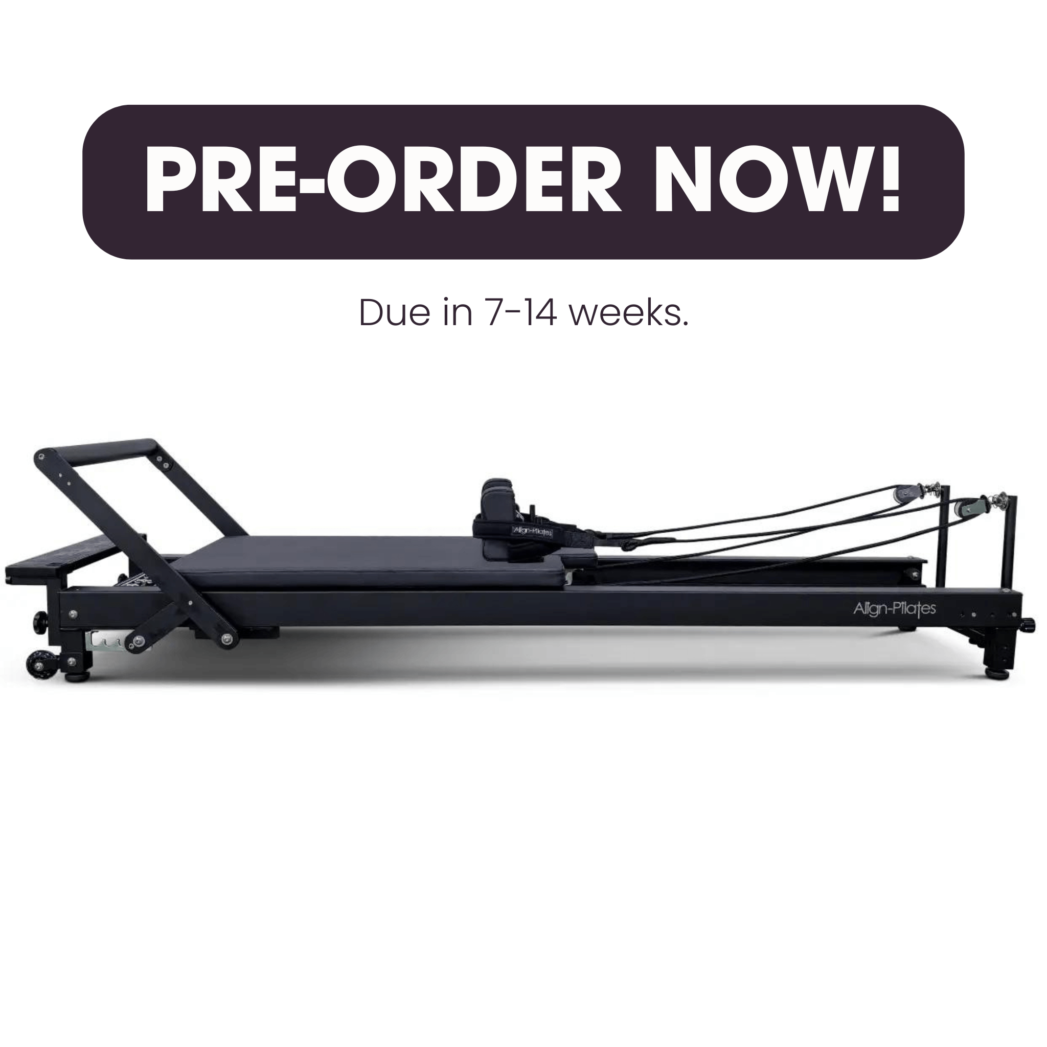 Align-Pilates C8 Pro Reformer | Commercial Pilates Reformers – Pilates ...